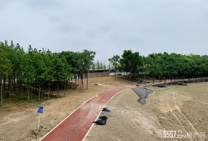 微信图片15.jpg 微信图片15.jpg