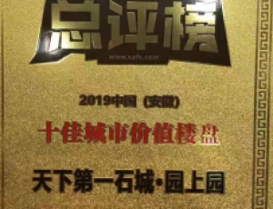 2019年十佳城市价值楼盘